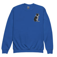 Embroidered Collie Craze Girl Youth crewneck sweatshirt