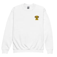 Embroidered Silly Lab Youth Crewneck Sweatshirt