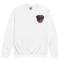 Embroidered Color Rottie Youth Crewneck Sweatshirt