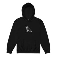 Embroidered Collie Craze Boy Youth Heavy Blend Hoodie