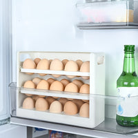 Egg Storage Rack