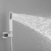 Thermostatic Shower Head - Silver